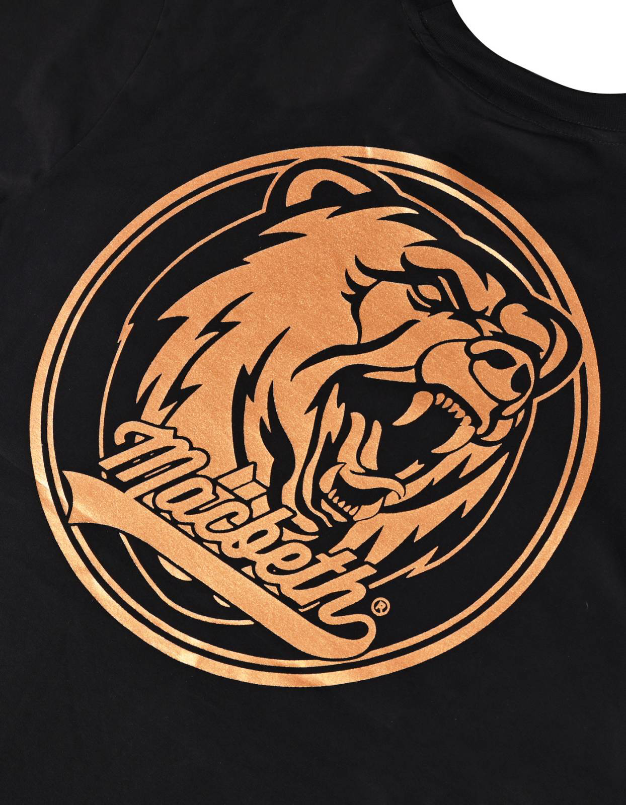 Picture of ROARING BEAR