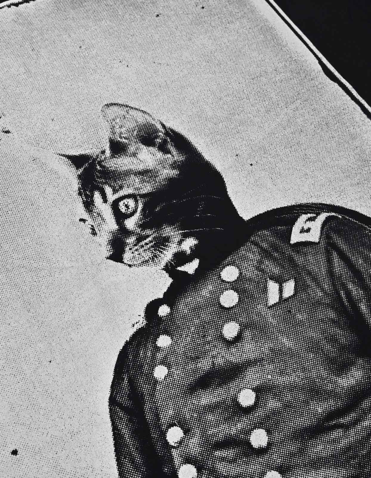 Picture of CAPTAIN CAT