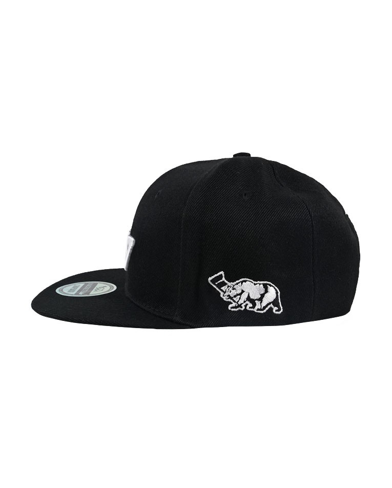 Picture of 20TH ANNIV SNAPBACK