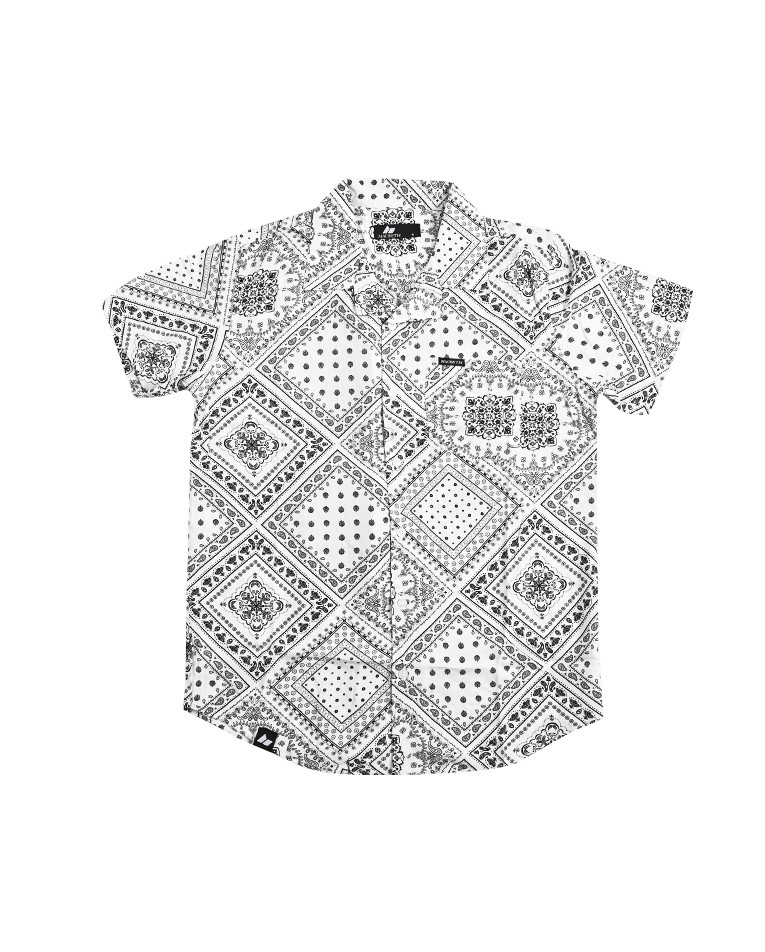 Picture of CUBAN PAISLEY