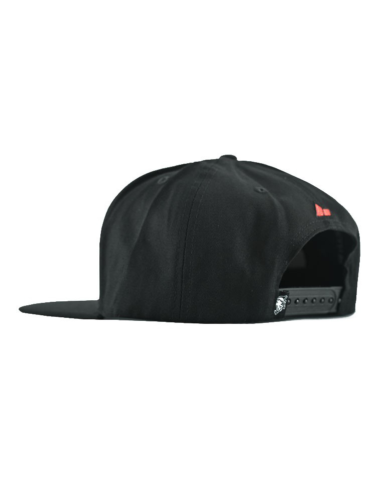 Picture of SIGNATURE SNAPBACK