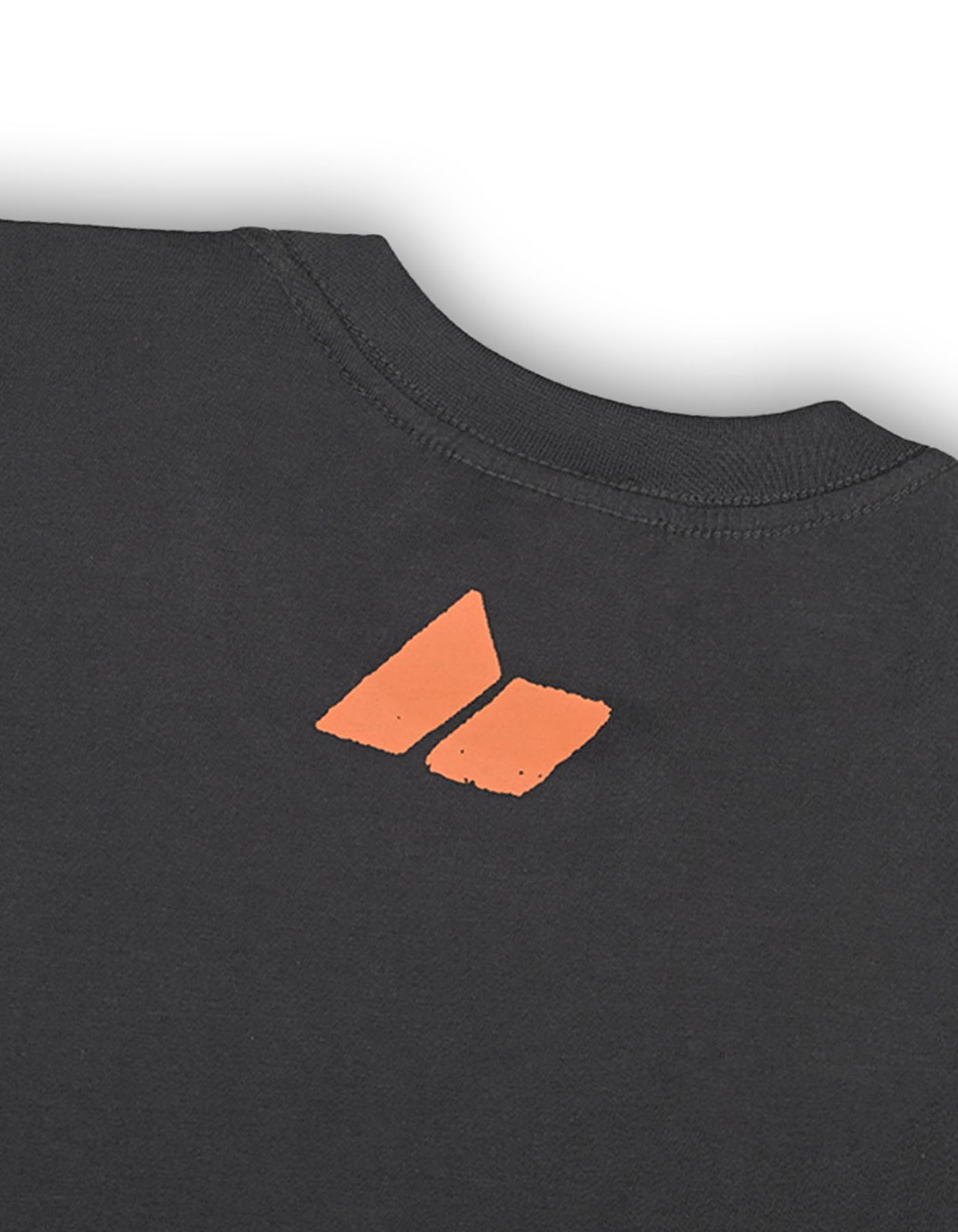 Picture of CALIFORNIA FOSSIL