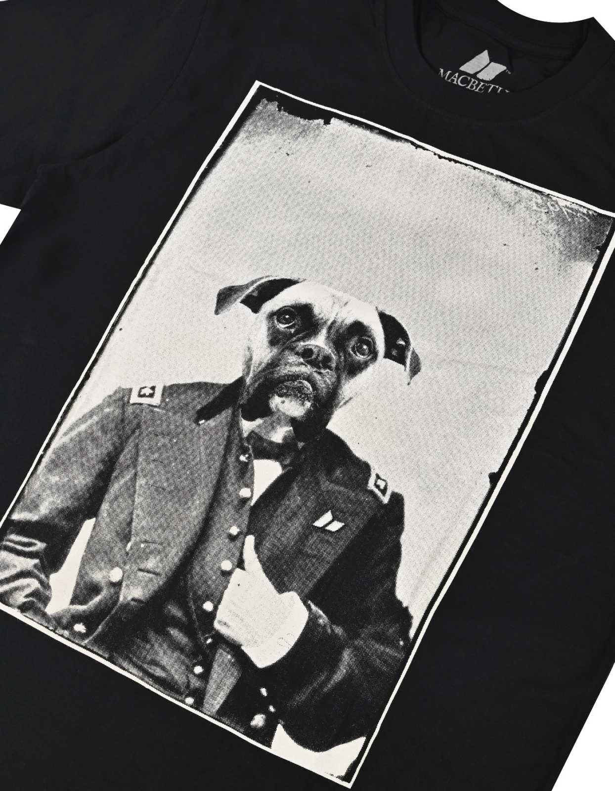 Picture of GENERAL DOG