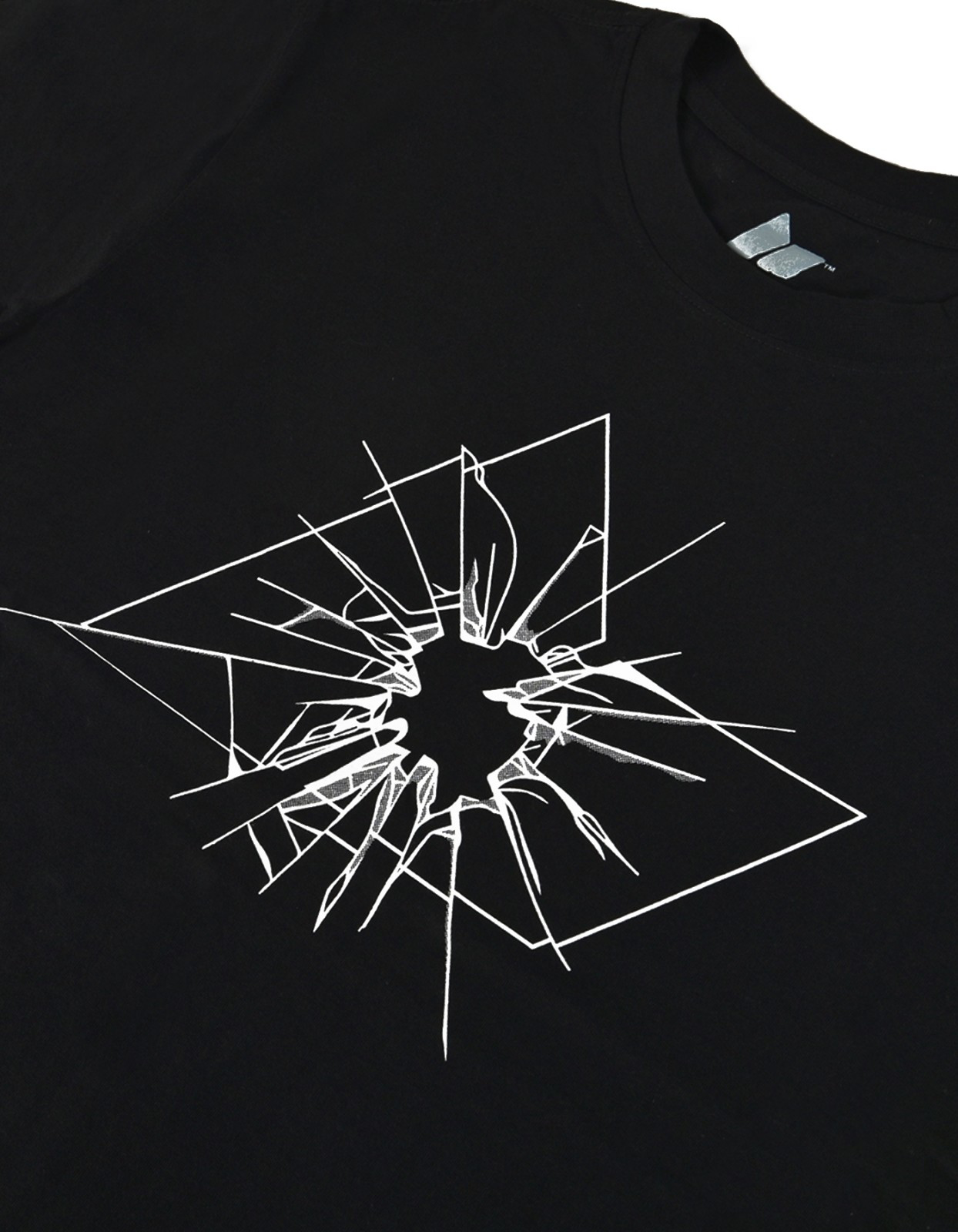Picture of SHATTERED