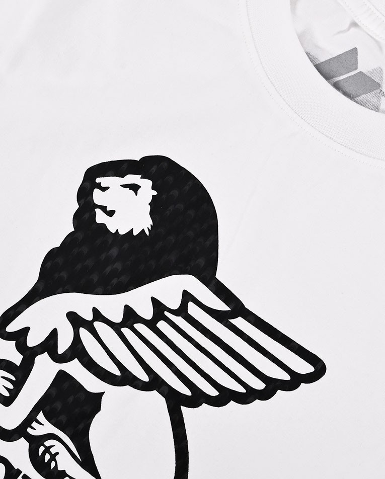 Picture of GRIFFON LION