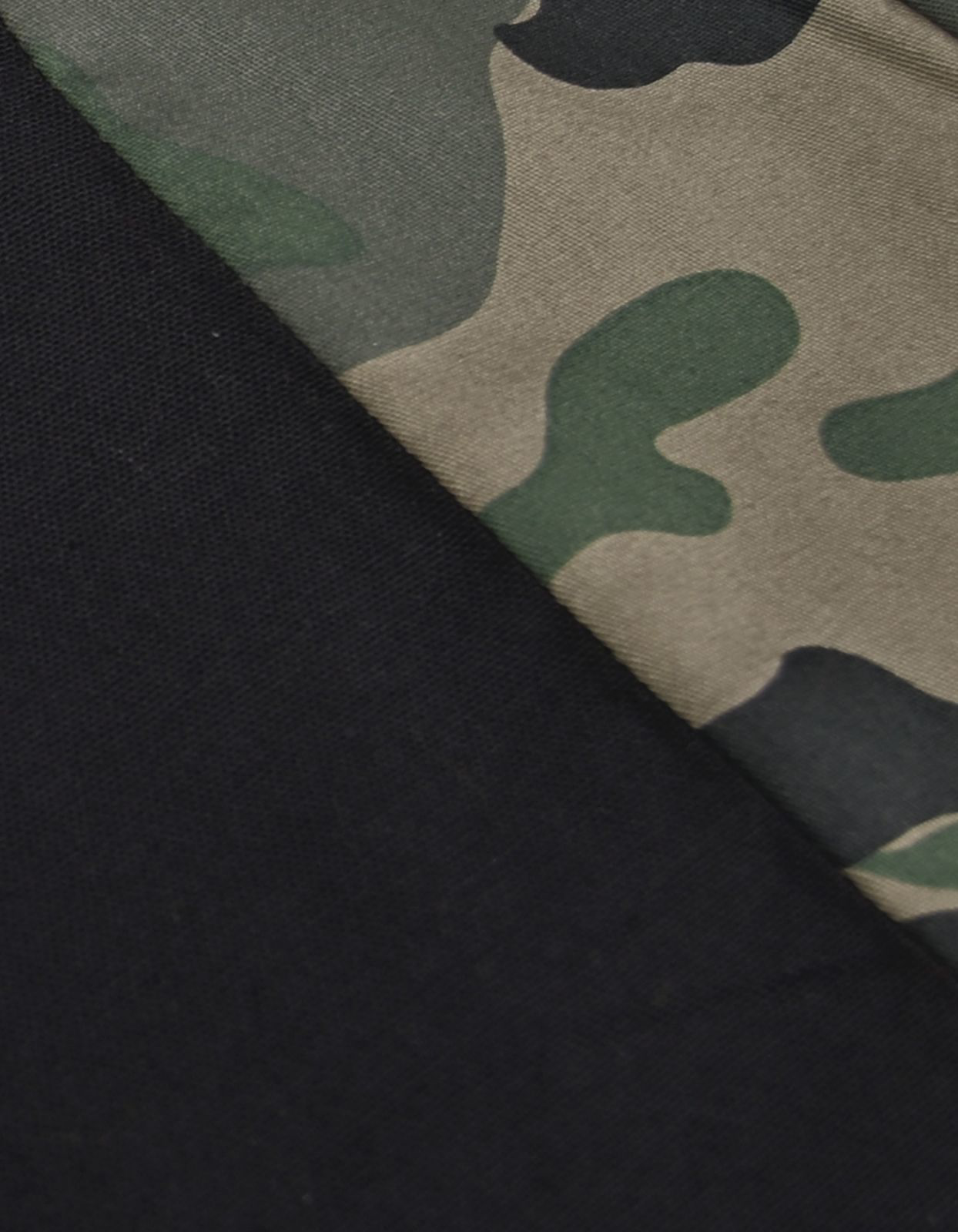 Picture of CAMOS