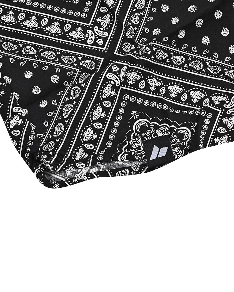 Picture of CUBAN PAISLEY