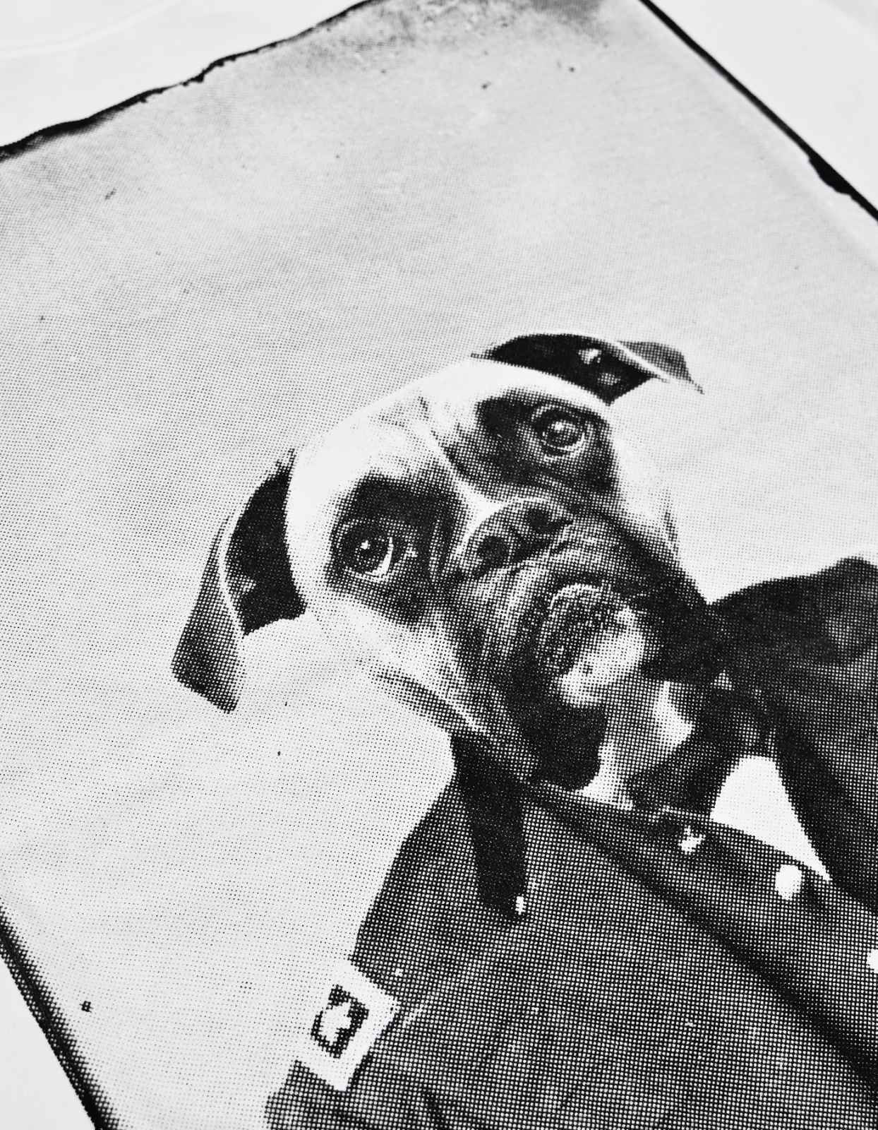 Picture of GENERAL DOG