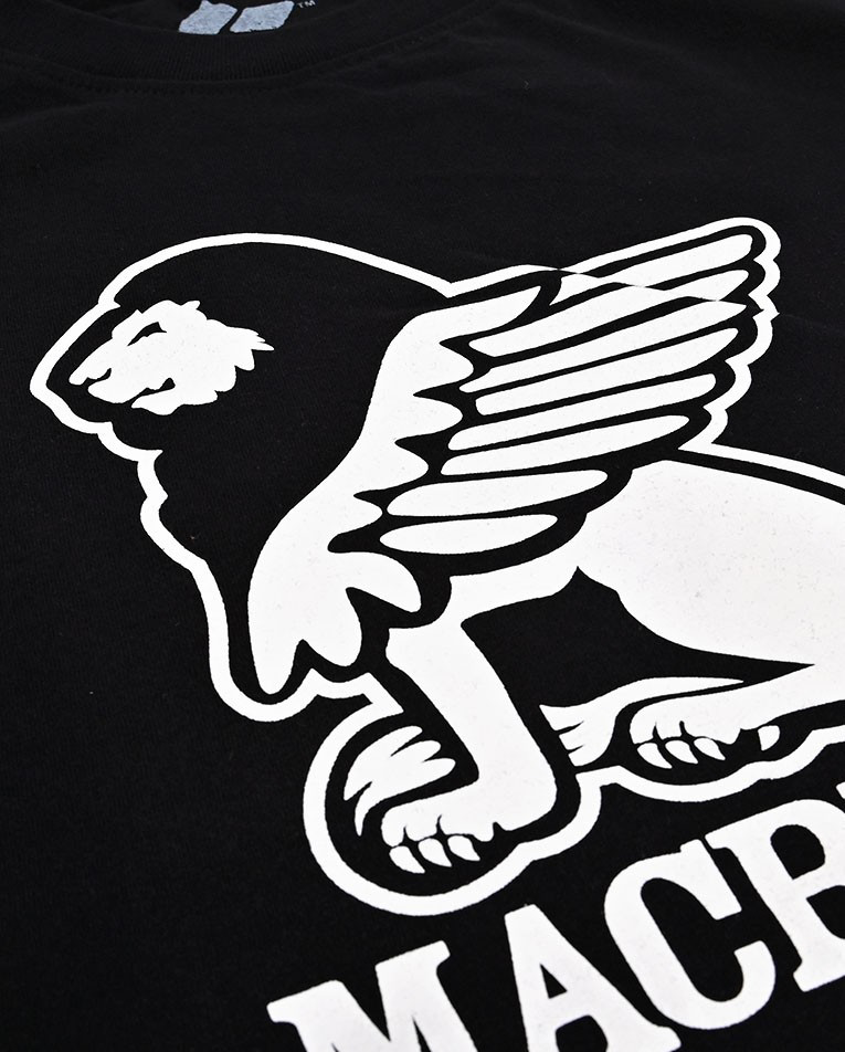 Picture of GRIFFON LION