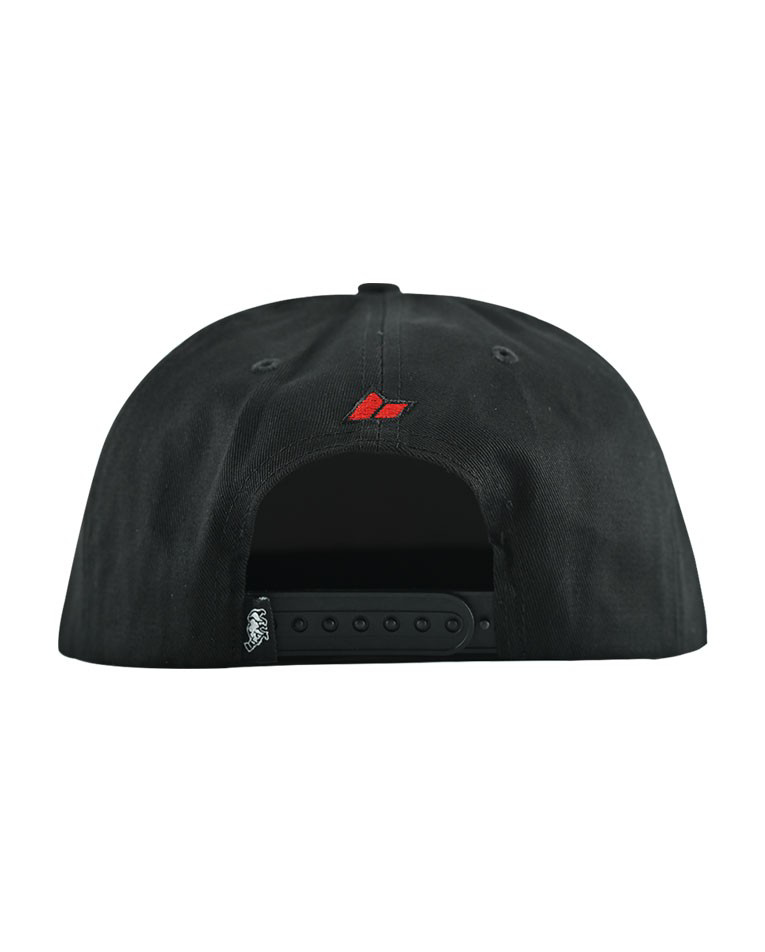 Picture of SIGNATURE SNAPBACK