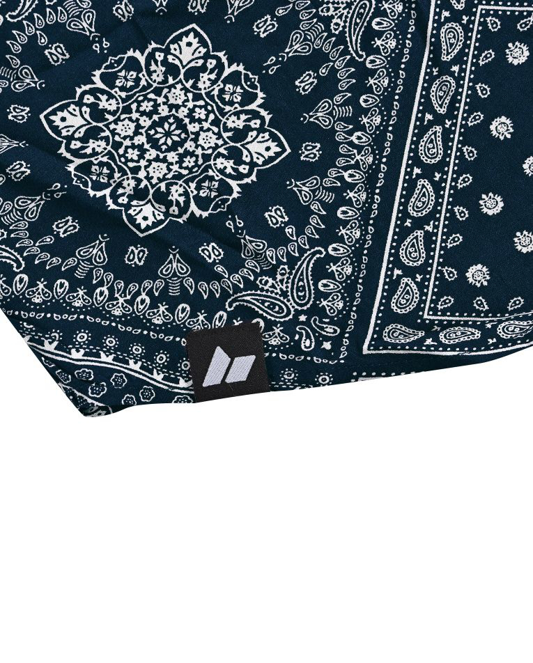 Picture of CUBAN PAISLEY